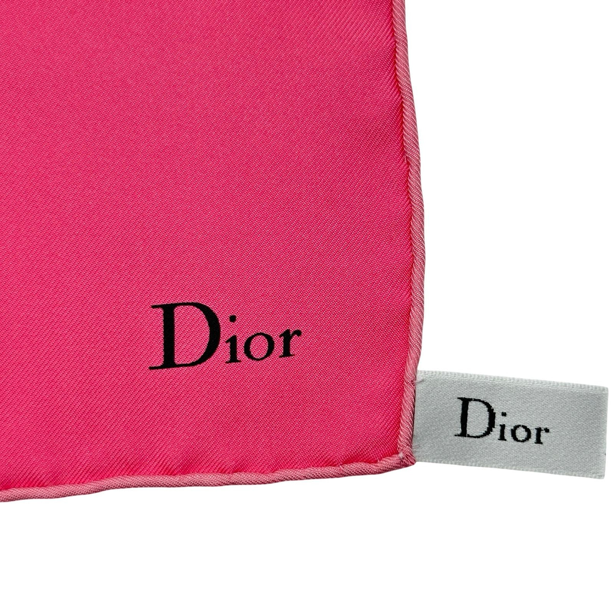 christian dior scarf rear view