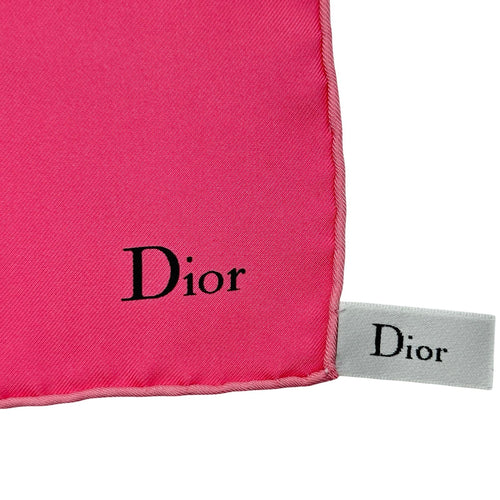 christian dior scarf rear view