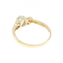 ring rear view