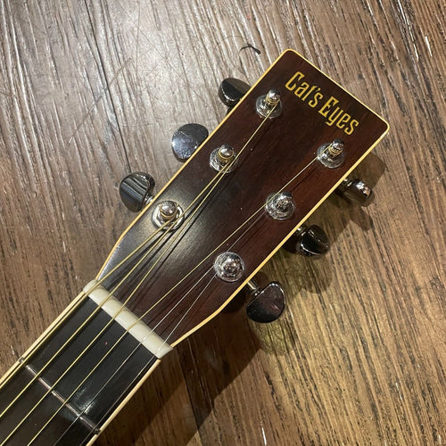 tokai ce-250 acoustic guitar side view