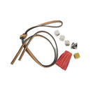 loewe gold / red keychain