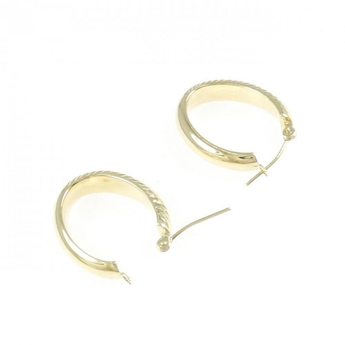 earrings rear view