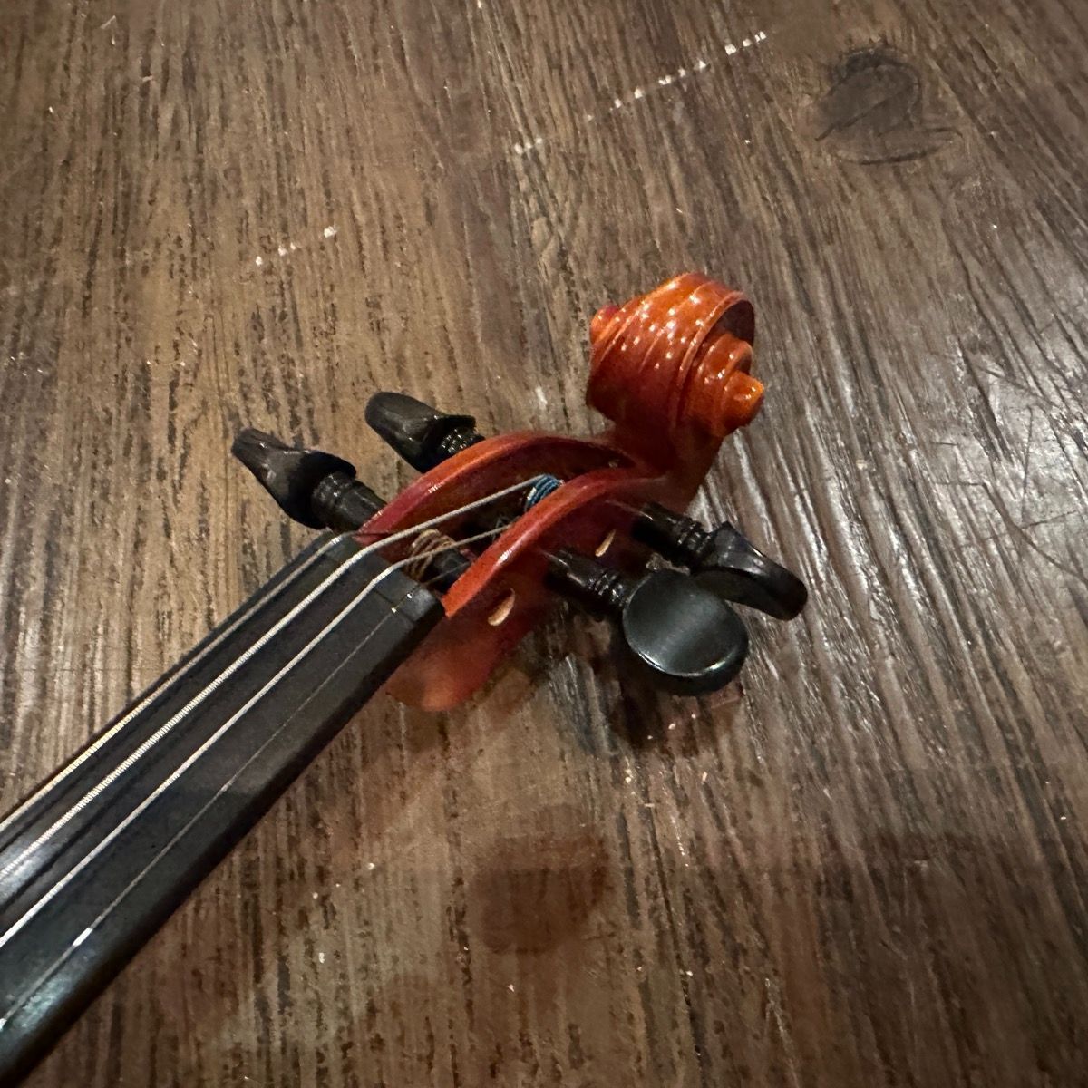 suzuki no.280 string instrument side view