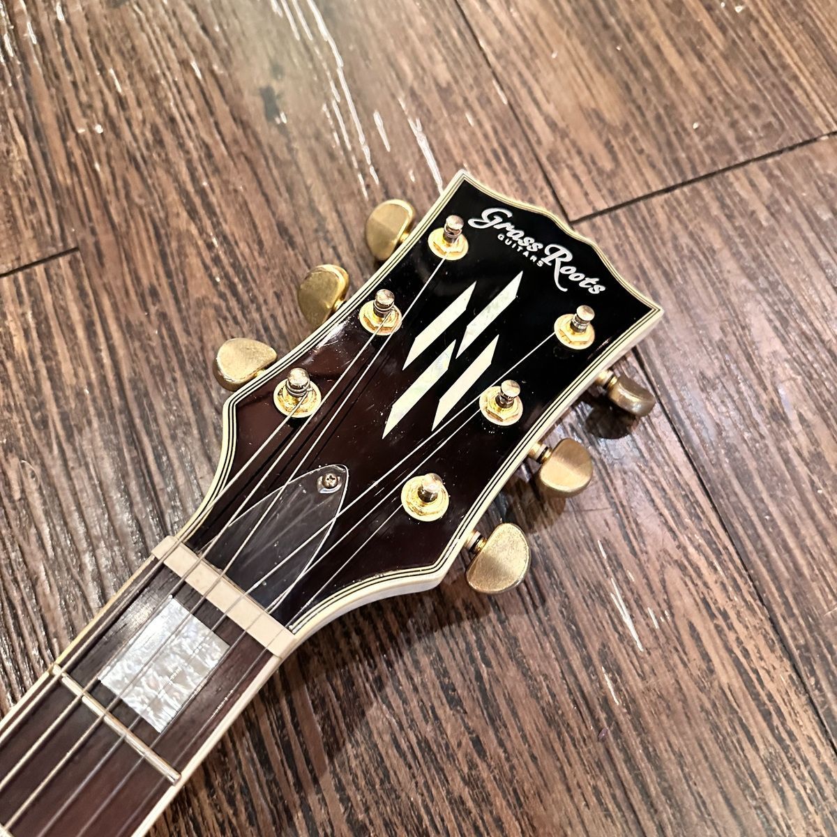 esp electric guitar accessories included