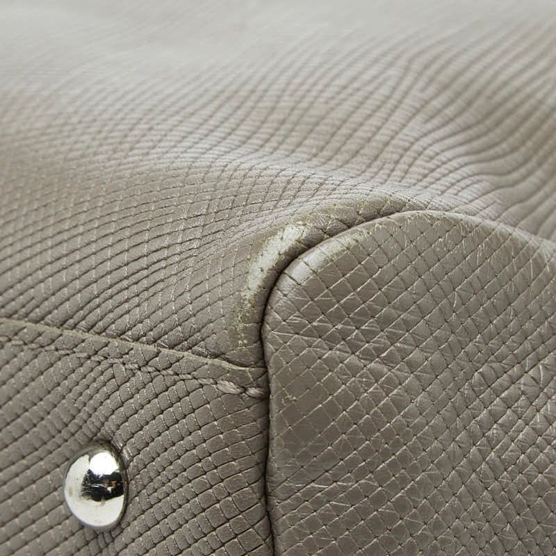 longchamp beige / grey handbag condition details