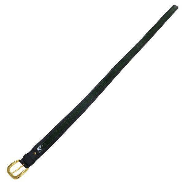 belt front view