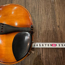 suzuki string instrument side view