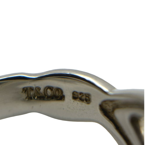 ring interior details