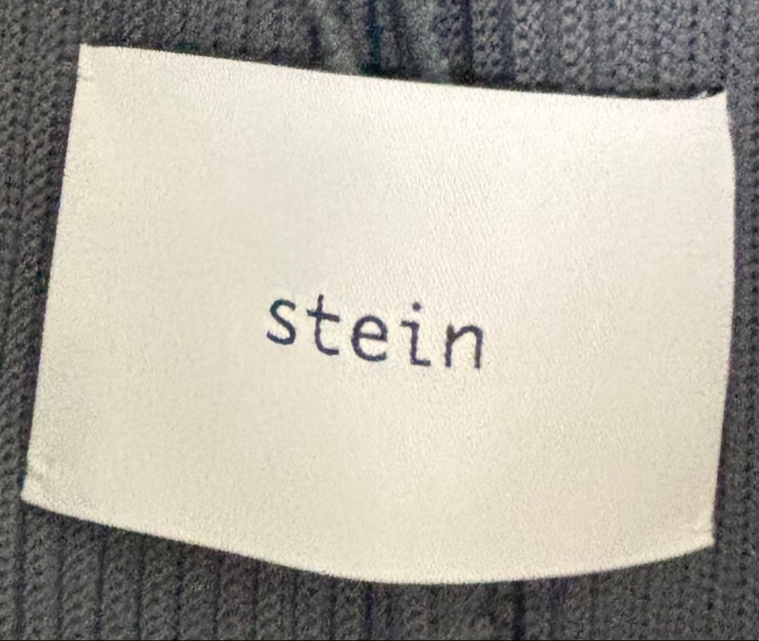 Stein Tailored Jacket Oversized Gradation Pleats