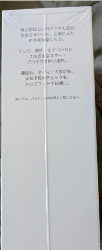 Google Others Nest Mini 2